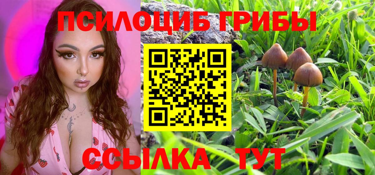где купить наркоту  Вход с VPN  Новошахтинск  Псилоцибиновые грибы мухоморы 