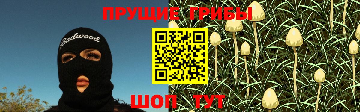 Псилоцибиновые грибы Psilocybine cubensis Новошахтинск